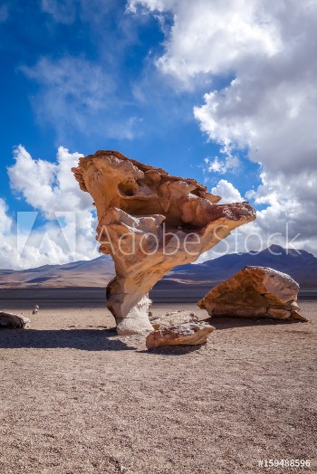 Picture of Arbol de Piedra in Siloli desert sud Lipez reserva Bolivia
